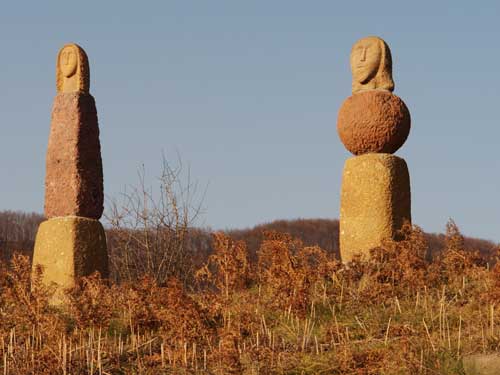 Foto poate un el si o ea sau poate nu (c) Petru Goja